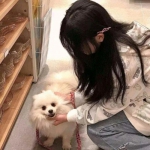 破天剑诀手游bt版下载